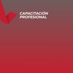 <strong> TRATAMIENTO REDUCTOR CON  PEPTONAS </strong>